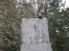 Filename=TrailsCountryPB_009.jpg
Filesize=261KB
Dimensions=640x480
Date added=Jan 08, 2009 TrailsCountryPB_009.jpg